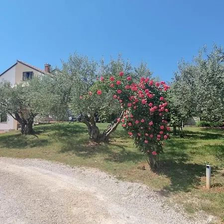 Nadja A4 Apartamento Zambratija (Istria)