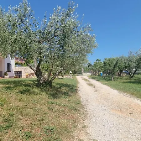 Nadja A4 Apartmán Zambratija (Istria)